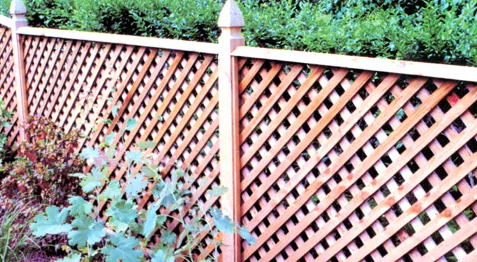 lattice wood fencing near bushes adds more privacy between neighbors