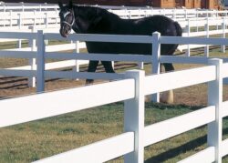 vinyl horse fencing